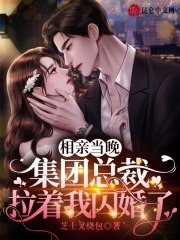 ����С˵:���׵����������ܲ�������������