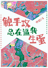 �ֲ�С˵:���ֹ����ڱ�������