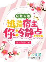 ����С˵:����ϵͳ���ӻ��������侲��