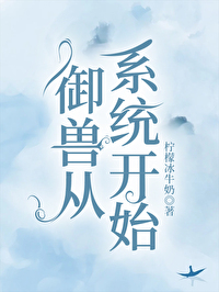 ����С˵:���޴�ϵͳ��ʼ