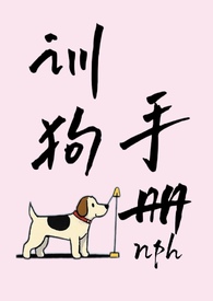 ����С˵:ѵ���ֲᣨNPH��