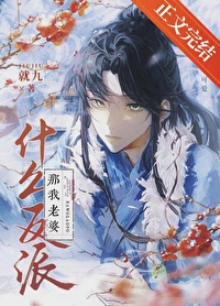 ����С˵:ʲô���ɣ���������