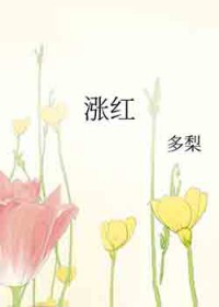 ����С˵:�Ǻ�