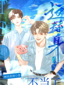 ����С˵:���������Ӳ�����