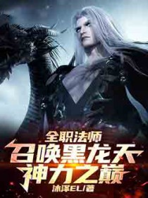 �ƻ�С˵:ȫְ��ʦ���ٻ������죬����֮��