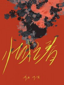 ����С˵:С��֮��