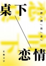 ����С˵:��������