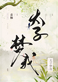 ����С˵:̫������