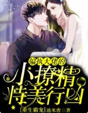 ����С˵:�����Գ裺ƫִ���е�С�þ���������