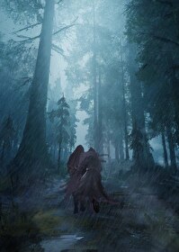 ����С˵:�������򲻿ɣ�