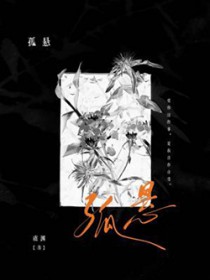 ����С˵:����