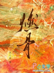 ����С˵:ȼ��