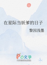 ����С˵:���Ǽʵ�����������