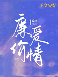 ����С˵:���۰���