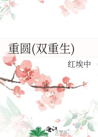 ����С˵:��Բ(˫����)