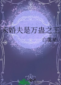 ����С˵:δ��������֮��