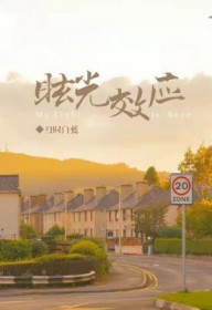 ����С˵:ѣ��ЧӦ