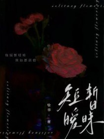 ����С˵:��������