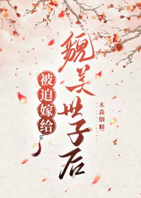 ����С˵:���ȼ޸�ò�����Ӻ�