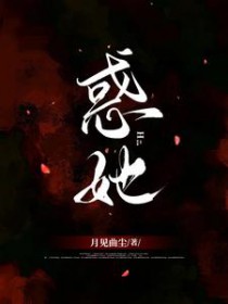 ����С˵:����