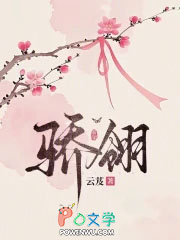 ����С˵:����