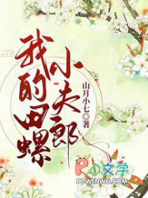 ����С˵:�ҵ�����С����