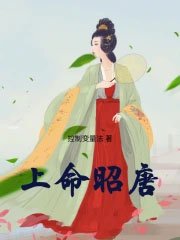 ����С˵:��������