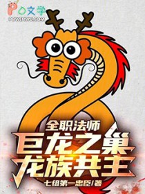 �ƻ�С˵:ȫְ��ʦ������֮�������干����