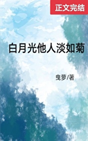 ����С˵:���¹����˵����