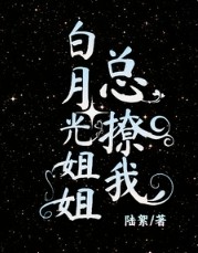 ����С˵:���¹���������