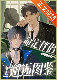 ����С˵:����֮������������ָ��