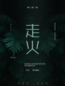 ����С˵:�߻�