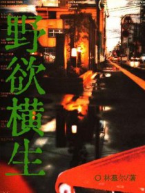 ����С˵:Ұ������