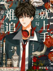 ����С˵:���ŷ�������׷�����һ��������