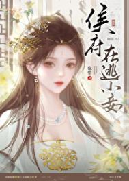 ����С˵:�����С�