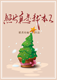 ����С˵:��Ƭ�����ұ���