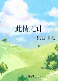 ����С˵:�����޼�