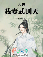 ����С˵:���ƣ�����������