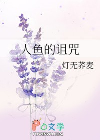 ����С˵:���������