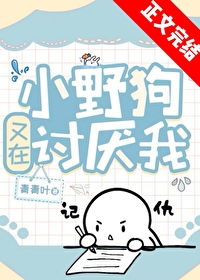 ����С˵:СҰ������������