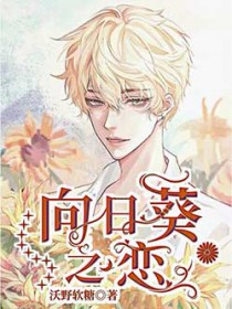 ����С˵:���տ�֮��