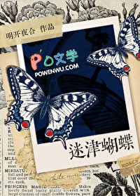 ����С˵:�Խ����