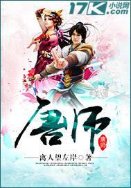 ����С˵:��ʦ