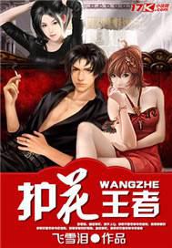 ����С˵:��������