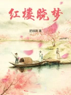 ����С˵:��¥����