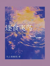 ����С˵:��ʳ����