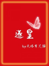 ����С˵:���