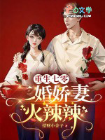 ����С˵:�������㣬���齿�޻�����