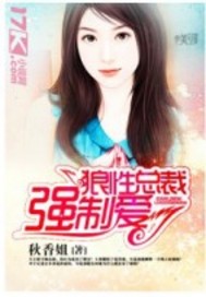 ����С˵:���ײ����