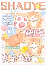 ����С˵:���ż���үװ��ָ��